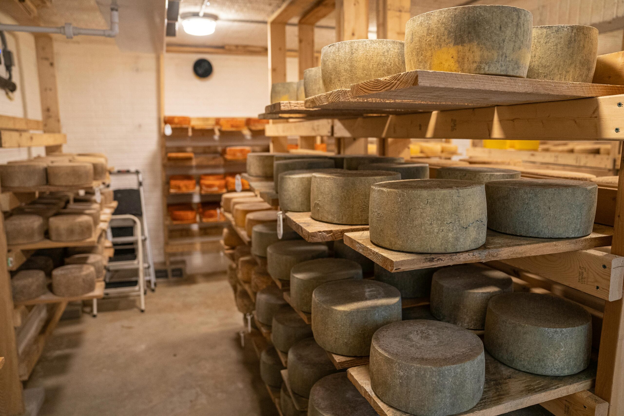 forme di formaggio in stagionatura su scaffali di legno