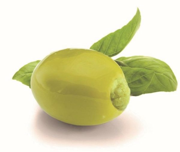 CS OLIVE V, FARC. PESTO VERDE KG 1,9