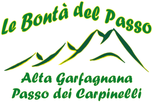 logo bontà del passo